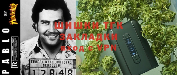 мдпв Мегион