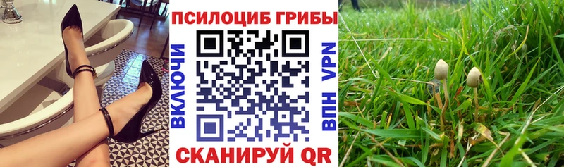 Галлюциногенные грибы ЛСД  Малаховка 